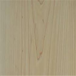 Maple Veneer